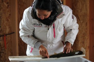 Mattagami First Nation Walleye Tournament official measuring fish.